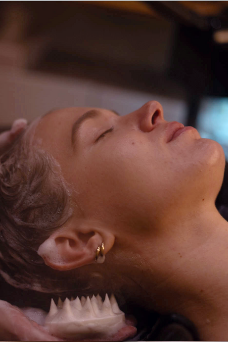Scalp Reset Protocol