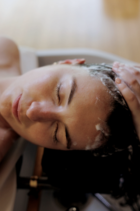 Hair Regeneration Protocol
